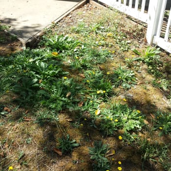 Thousand Trails - landscaping outside adult  pool - Resorts Near Me - Napavine, Washington