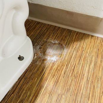 motel 6 - Mold or something under the toilet - Hotels Near Me - Apache Junction, Arizona