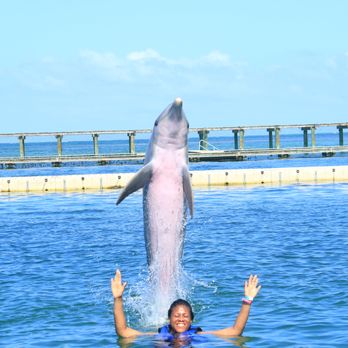Time to Trip Vacations - Travel Services Near Me Time to Trip Vacations - Travel Services Near Me