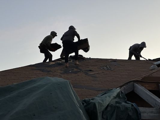 Vigilant Roofing & Construction