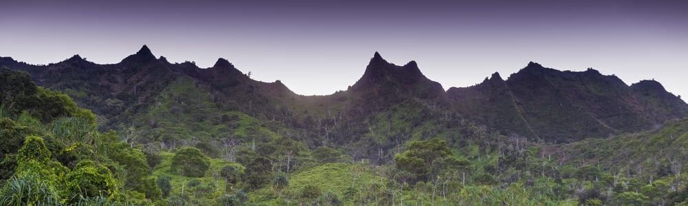 Hanakapi'ai Falls Logo