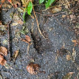 Indention in driveway