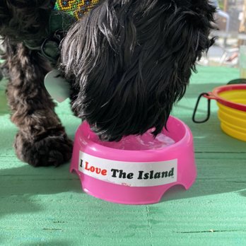Lucky Lounge - She's loves the island for sure. - Lounges Near Me - Galveston, Texas Lucky Lounge - She's loves the island for sure. - Lounges Near Me - Galveston, Texas