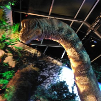 Field Museum - Museums Near Me - Chicago, Illinois