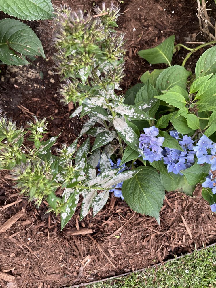 KIEFER LANDSCAPING & NURSERY 42 Photos & 21 Reviews Nurseries