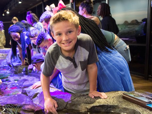 Shreveport Aquarium by null
