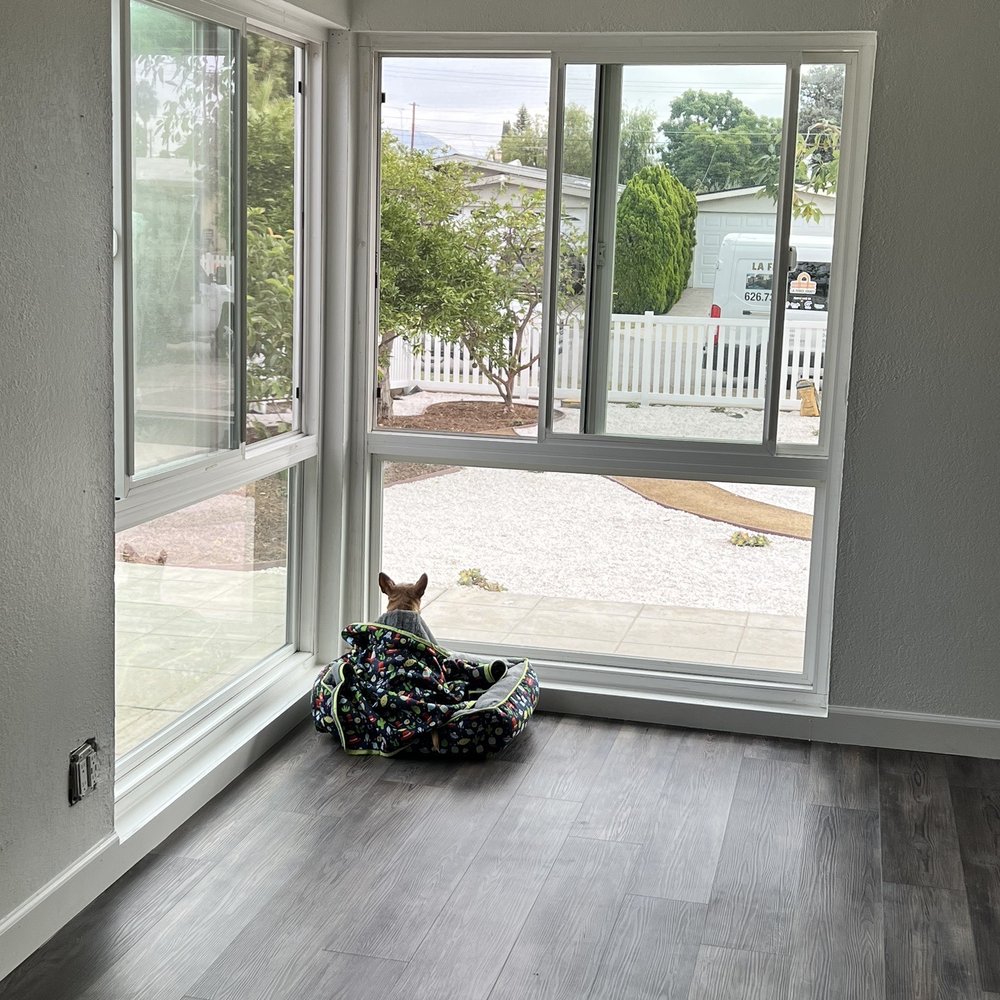 One Day Tree Service - My pup enjoying his new view - Tree Services Near Me - Altadena, California One Day Tree Service - My pup enjoying his new view - Tree Services Near Me - Altadena, California