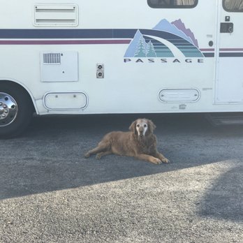 Ahtanum Custom Meats - a dog laying in front of a rv - Butcher Near Me - Yakima, Washington Ahtanum Custom Meats - a dog laying in front of a rv - Butcher Near Me - Yakima, Washington