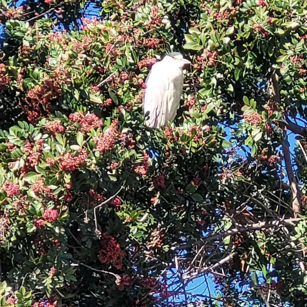 Wilderness Park - Parks Near Me - Downey, California Wilderness Park - Parks Near Me - Downey, California