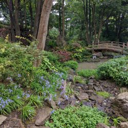 Lafcadio Hearn Japanese Gardens