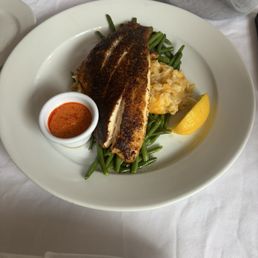 Blackish snapper Blackish snapper