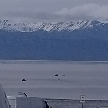 Wild Honey Bistro - View from Wild Honey Bistro - Creperies Near Me - Homer, Alaska Wild Honey Bistro - View from Wild Honey Bistro - Creperies Near Me - Homer, Alaska