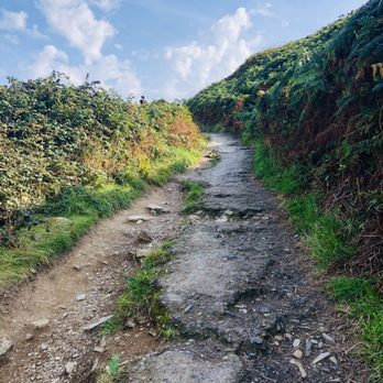 Howth - Hiking trail leading up to Howth head - Beaches Near Me