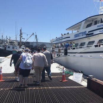Cape Ann Whale Watch - Boat Charters Near Me - Gloucester, Massachusetts
