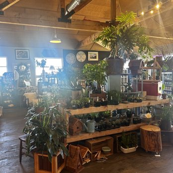Alder + Co. - Interior - Public Markets Near Me - Raymond, Washington Alder + Co. - Interior - Public Markets Near Me - Raymond, Washington