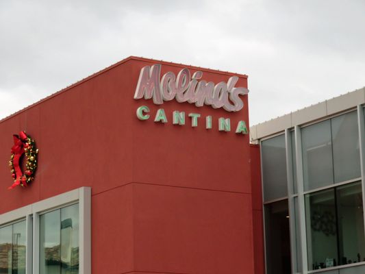 Molina's Cantina by null
