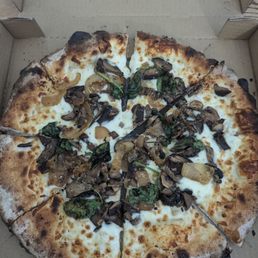 Mushroom pizza