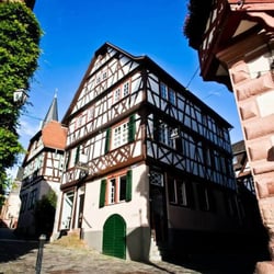 Schwan