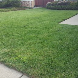My "nifty lawn" in Royal Summit after less than an hour of mowing! Was lucky to have next-day service! My "nifty lawn" in Royal Summit after less than an hour of mowing! Was lucky to have next-day service!