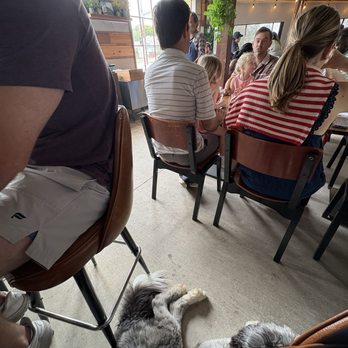 Encina - Dogs in AC outdoor area - New American Near Me - Dallas, Texas
