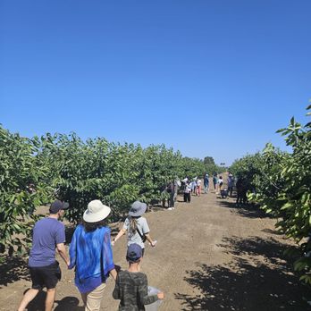 U Pick Orchards - Pick Your Own Farms Near Me - Morgan Hill, California
