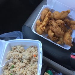 Chicken & Rice - 15 piece chicken tender family pack