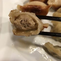 ZongZi House - Inside Shanghai Style Potstickers