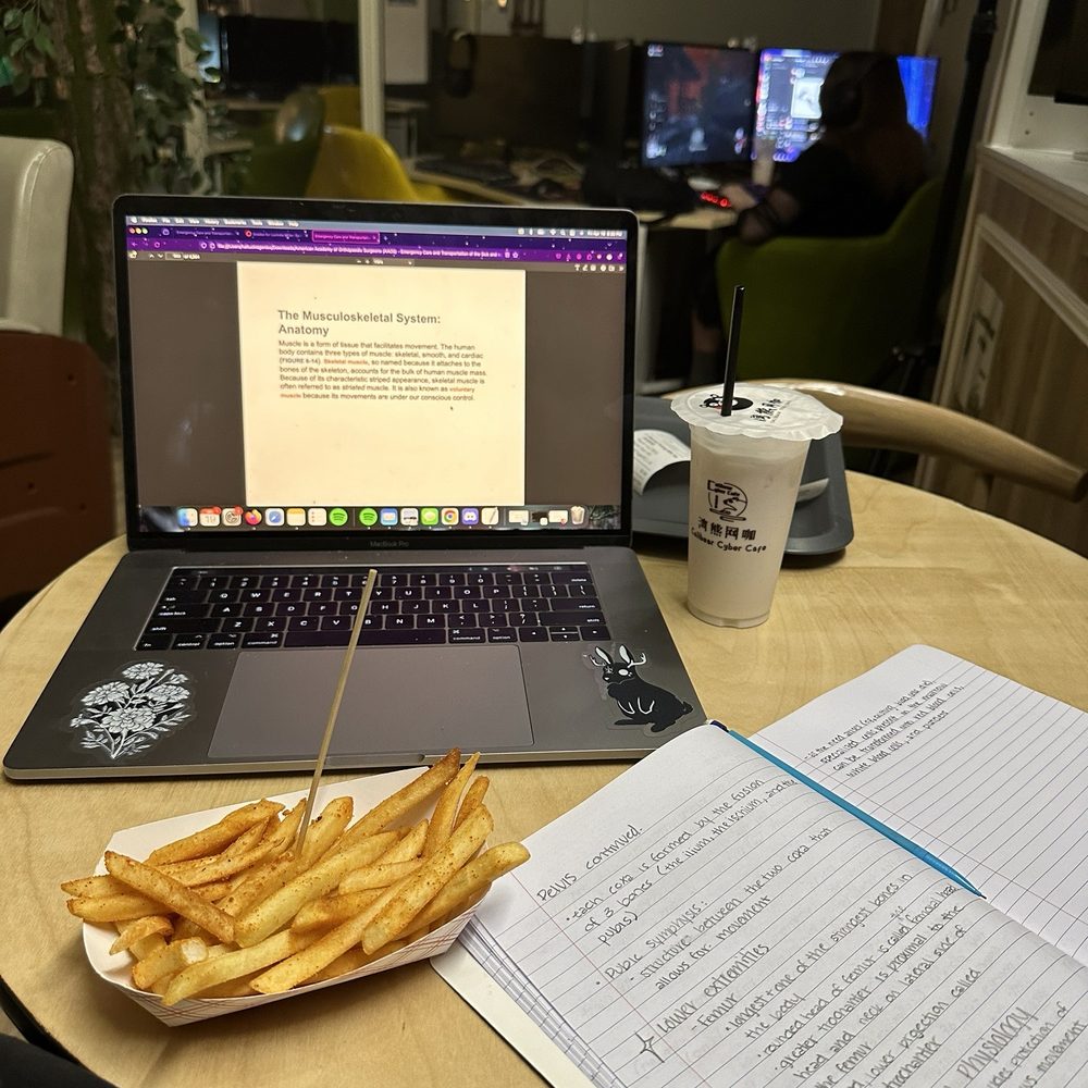 Calibear Cyber Cafe - Fries and ambiance - Bubble Tea Near Me - Sunnyvale, California