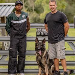 North Tampa Dog Training