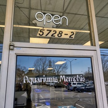 Aquariums Memphis - Aquarium Services Near Me - Bartlett, Tennessee Aquariums Memphis - Aquarium Services Near Me - Bartlett, Tennessee