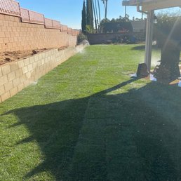 Grass sod Grass sod