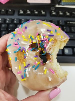 Boston Donuts by null