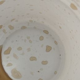 Those little black spots in pretty sure it's roaches bits. Those little black spots in pretty sure it's roaches bits.