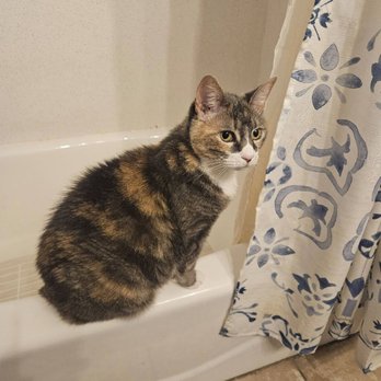 Pro Pet Care - Veterinarians Near Me - Roy, Utah Pro Pet Care - Veterinarians Near Me - Roy, Utah