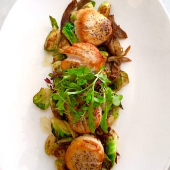 Neptune Oyster - king george scallops entree - Seafood Near Me - Boston, Massachusetts Neptune Oyster - king george scallops entree - Seafood Near Me - Boston, Massachusetts