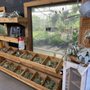 Portland Nursery