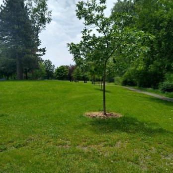 Britannia Park and Beach - Britannia Park, attached to Britannia Beach. - Beaches Near Me - Ottawa, Ontario