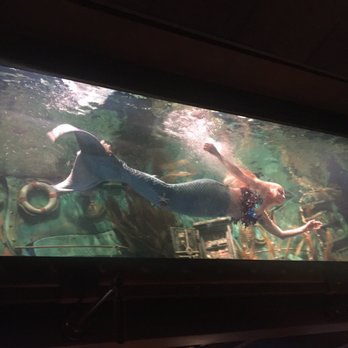Dive Bar - Mermaids!!!! - Dive Bars Near Me - Sacramento, California Dive Bar - Mermaids!!!! - Dive Bars Near Me - Sacramento, California