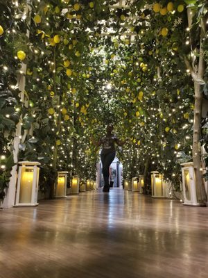 Alto by San Carlo | London by null