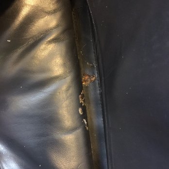 Alaska Airlines - Dried substance with mold crusted around it - feces or chocolate pudding?? - Airlines Near Me - Seattle, Washington Alaska Airlines - Dried substance with mold crusted around it - feces or chocolate pudding?? - Airlines Near Me - Seattle, Washington
