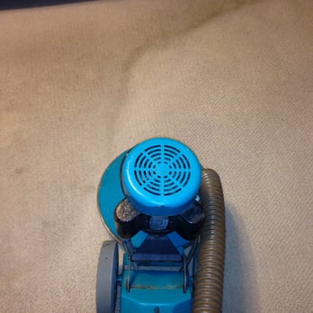 Bee Clean Services - Carpet Cleaning Near Me Bee Clean Services - Carpet Cleaning Near Me