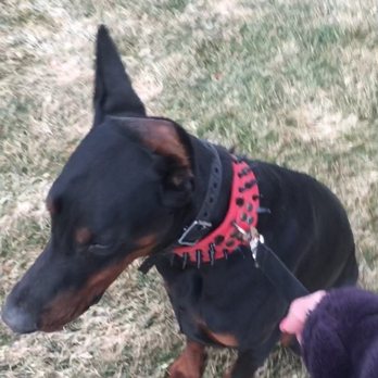 South Mountain Pet Care - Veterinarians Near Me - Draper, Utah South Mountain Pet Care - Veterinarians Near Me - Draper, Utah