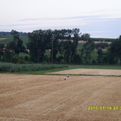 Salzwiesen