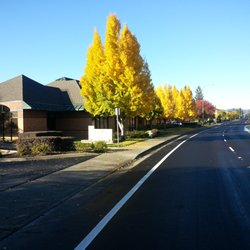 Solano Chiropractic Health Center - Our office is easy to find just park around back and walk into the gated courtyard, we face the fountain.