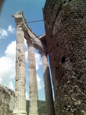 Tempio di Vesta by null