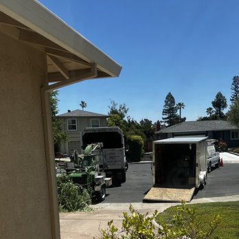 Preferred Expert Tree Service - We'll organized - Tree Services Near Me