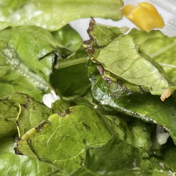 Chick-fil-A - Cobb Salad - Fast Food Near Me - Pompano Beach, Florida