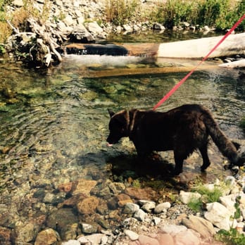Upper Jamison Creek Campground - Campsite-Museum Trail - Campgrounds Near Me