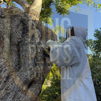 King Pests Control - OK - Pest Control Near Me King Pests Control - OK - Pest Control Near Me