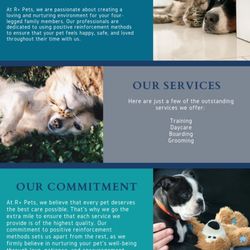 R Plus Pets